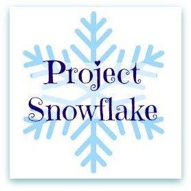 Image result for Project snowflake